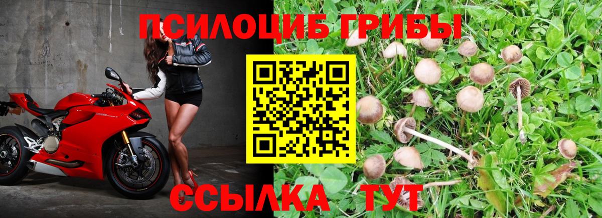 Псилоцибиновые грибы мухоморы Сарапул