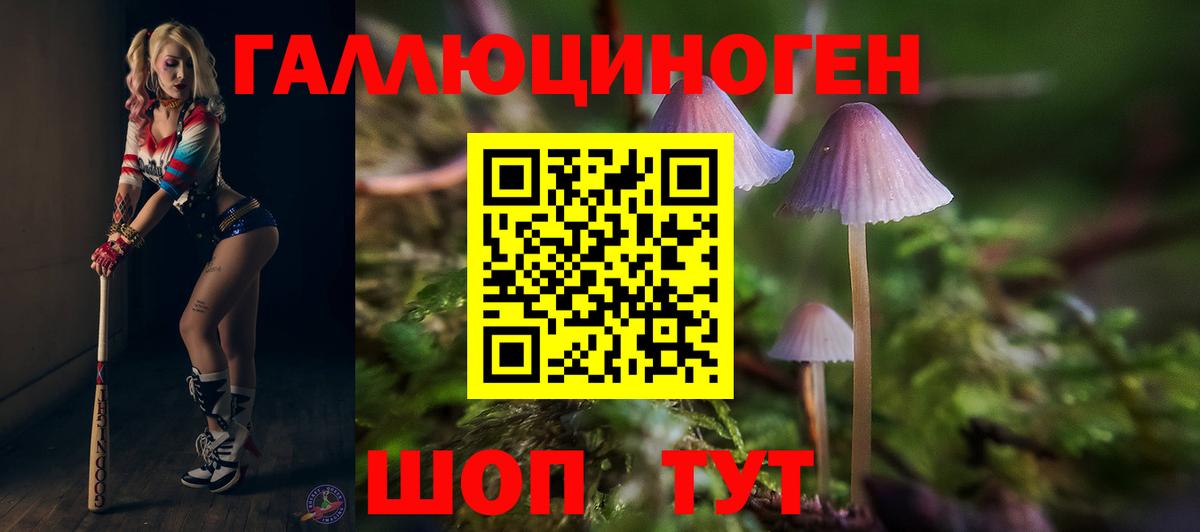 Сарапул  Псилоцибиновые грибы GOLDEN TEACHER  Вход с VPN 